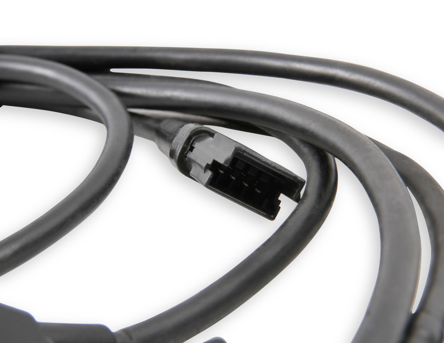 1bblharness_03.jpg