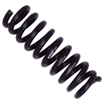 Bilstein Shock Absorbers