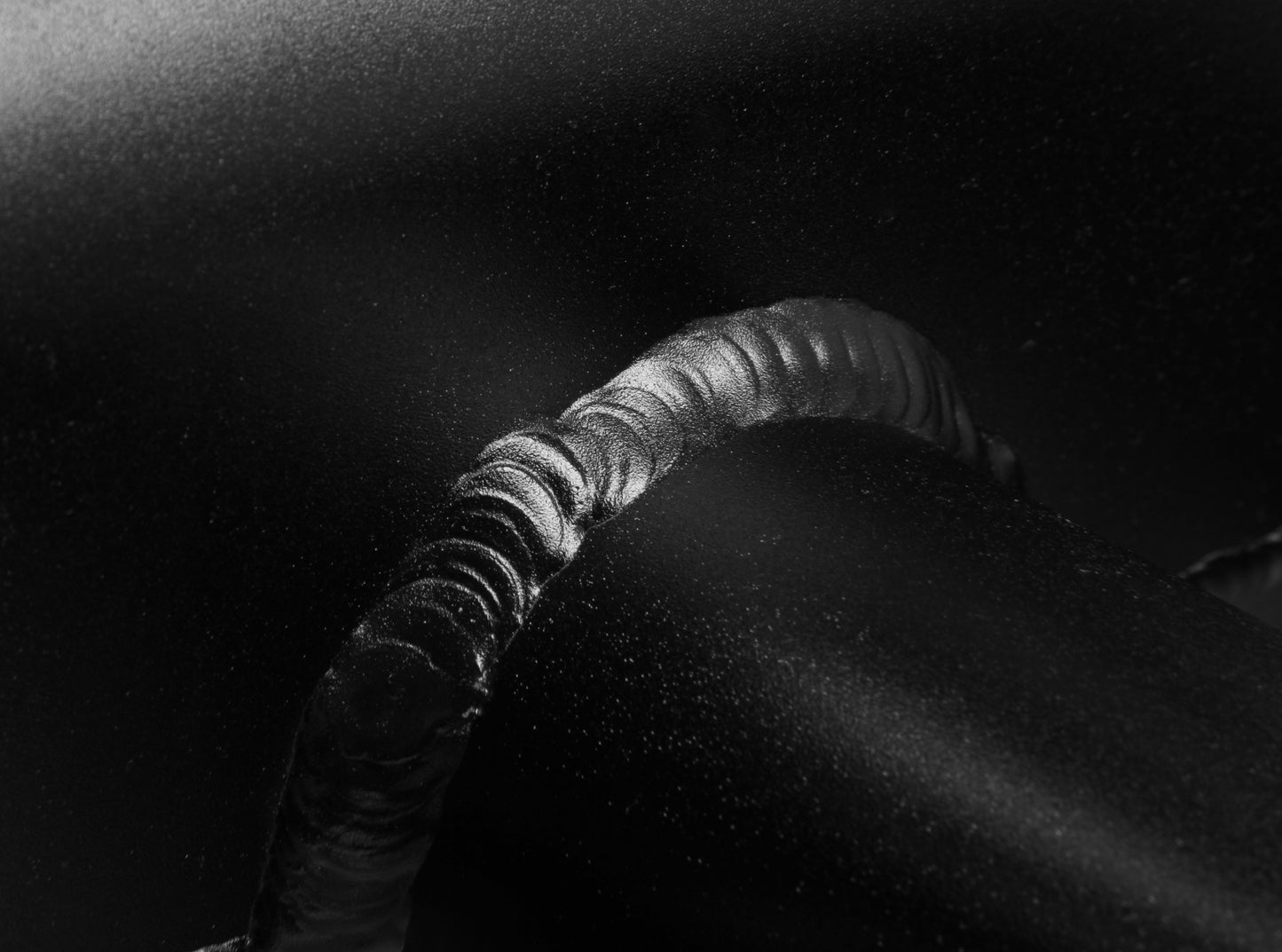 822042_09.jpg