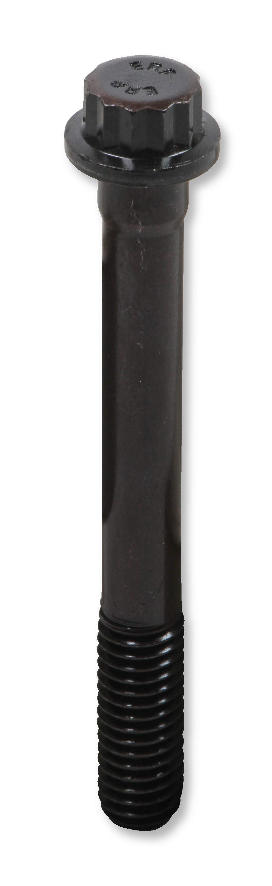 tbs-003erl_02.jpg